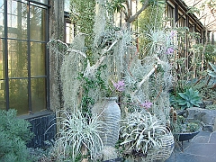 408 Longwood Gardens [2008 August 23]